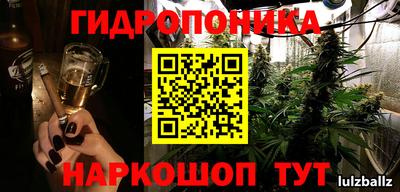 ПСИЛОЦИБИНОВЫЕ ГРИБЫ Лесосибирск