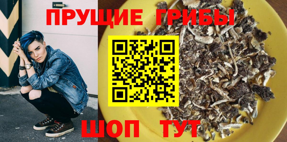 закладка  Псилоцибиновые грибы мухоморы  Вход с VPN  Улан-Удэ 